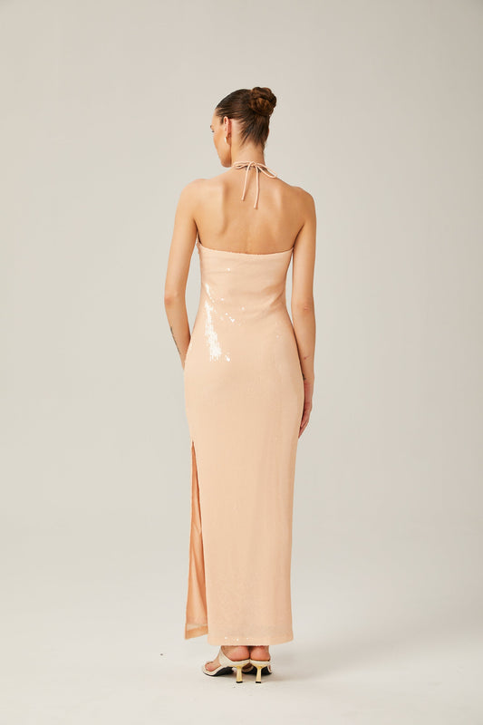 Yvette Blush Beige Halterneck Sequined Maxi Dress with Floral Appliqué